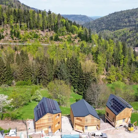 Schwarzwaldstrand Ferienwohnungen Bad Herrenalb Buitenkant foto