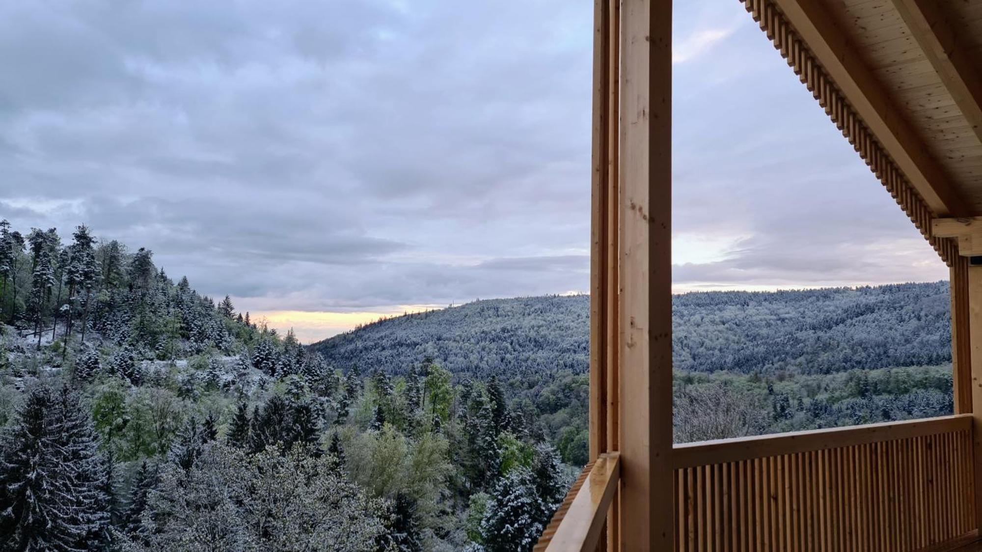 Schwarzwaldstrand Apartment